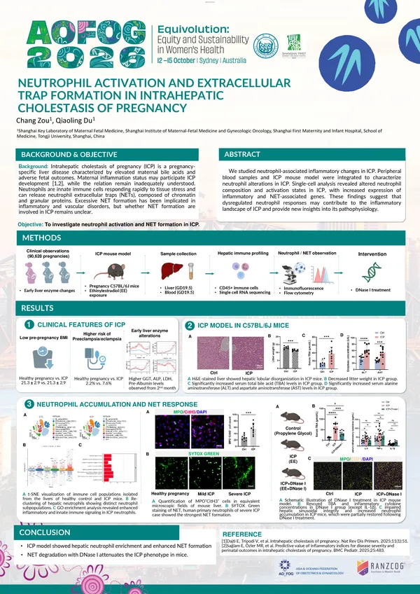 Neutrophil Activation and Extracellular Trap Formation in Intrahepatic Cholestasis Of Pregnancy