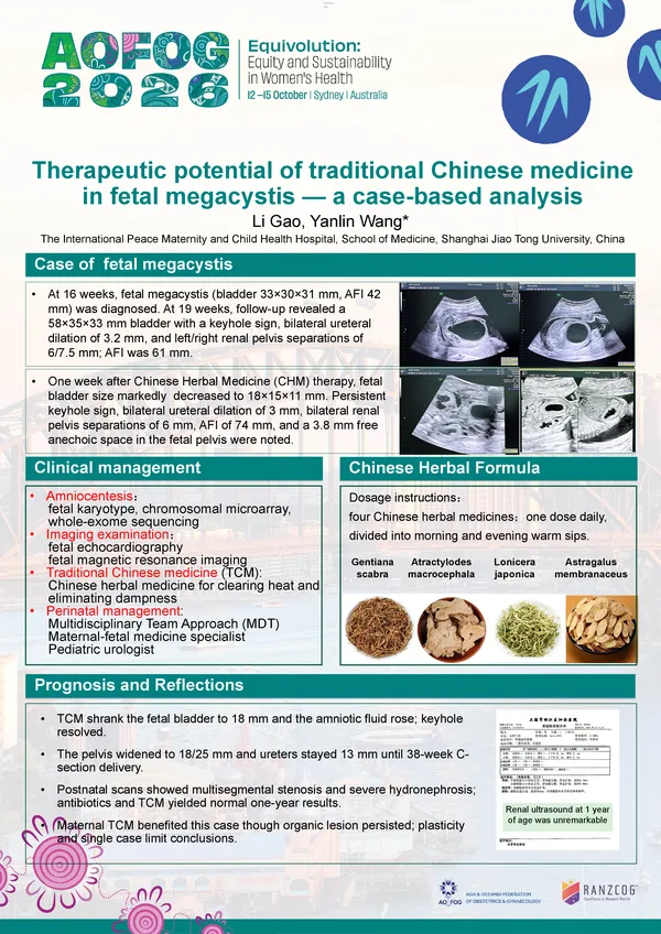 Therapeutic potential of traditional Chinese medicine in fetal megacystis — a case-based analysis
