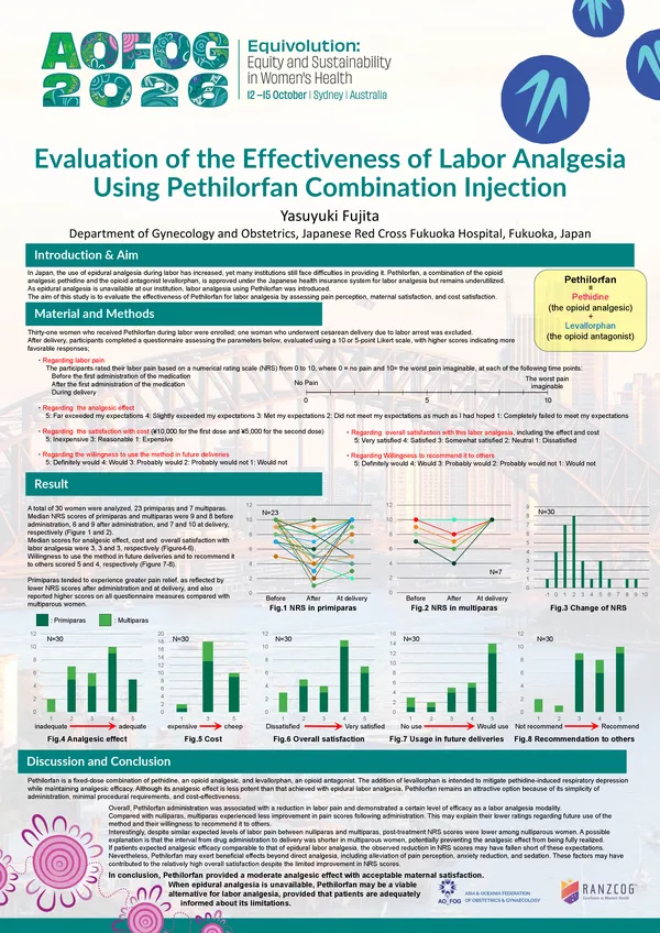 Evaluation of the Effectiveness of Labor Analgesia Using Pethilorfan Combination Injection