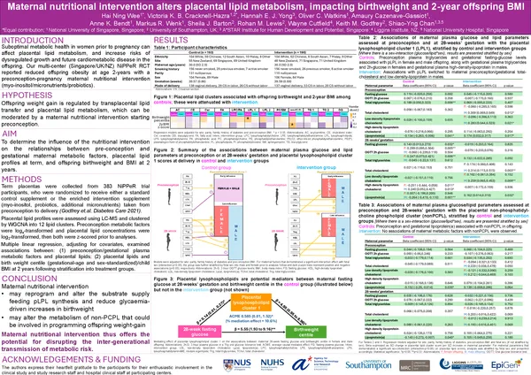 Maternal nutritional intervention alters placental lipid metabolism, impacting birthweight and 2-year offspring BMI